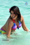Komal Jha Spicy Gallery - 20 of 106