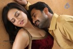 Nadigayin Diary Tamil Movie Hot Stills - 21 of 41