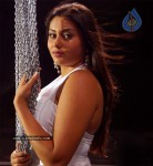 Namitha Spicy Gallery - 50 of 61