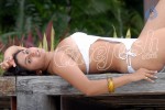 Namitha Spicy Gallery - 17 of 39