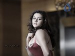 Namitha Spicy Photos - 8 of 14