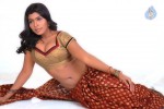 Navaneetha Hot Gallery - 3 of 61