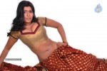 Navaneetha Hot Gallery - 7 of 61