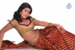 Navaneetha Hot Gallery - 35 of 61