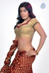 Navaneetha Hot Gallery - 36 of 61