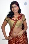 Navaneetha Hot Gallery - 50 of 61