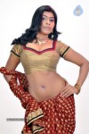 Navaneetha Hot Gallery - 51 of 61