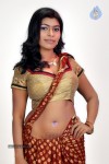 Navaneetha Hot Gallery - 52 of 61