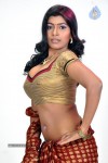 Navaneetha Hot Gallery - 61 of 61