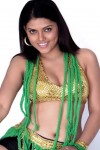 Nayana Hot Stills - 4 of 15