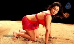 Nayanthara Hot Stills - 4 of 40