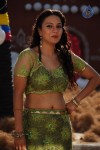 Neelam Upadhyay Hot Photos - 1 of 53