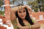 Neelam Upadhyay Hot Photos - 9 of 53