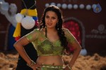 Neelam Upadhyay Hot Photos - 10 of 53