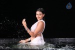 Neelam Upadhyay Hot Pics - 21 of 56