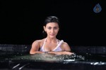 Neelam Upadhyay Hot Pics - 33 of 56