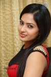 Nikesha Patel Hot Gallery - 5 of 83