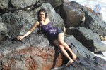 Nikita Rawal Spicy Stills - 38 of 38