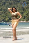 Namitha Hot n Spicy Pics (CineJosh Exclusive) - 36 of 101
