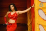 Namitha Hot n Spicy Pics (CineJosh Exclusive) - 49 of 101