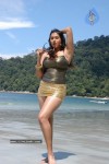 Namitha Hot n Spicy Pics (CineJosh Exclusive) - 94 of 101