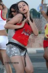 Nisha Kothari Hot Stills - 60 of 44