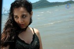 Nisha Kothari New Hot Stills - 6 of 57