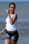 Nisha Kothari New Hot Stills - 10 of 57