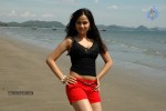 Nisha Kothari New Hot Stills - 17 of 57