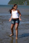Nisha Kothari New Hot Stills - 30 of 57