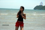 Nisha Kothari New Hot Stills - 45 of 57