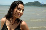 Nisha Kothari New Hot Stills - 46 of 57