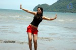 Nisha Kothari New Hot Stills - 49 of 57