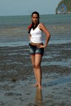 Nisha Kothari New Hot Stills - 51 of 57
