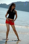 Nisha Kothari New Hot Stills - 52 of 57