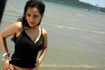 Nisha Kothari New Hot Stills - 55 of 57
