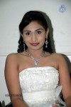 Nisha Spicy Stills - 54 of 74