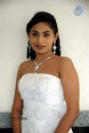 Nisha Spicy Stills - 56 of 74