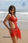 Paki Hedge Spicy Pics - 56 of 85