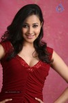 Panchi Bora Hot Photos - 4 of 40