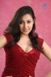 Panchi Bora Hot Photos - 6 of 40