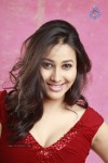 Panchi Bora Hot Photos - 20 of 40