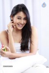 Panchi Bora Hot Stills - 22 of 58