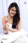 Panchi Bora Hot Stills - 25 of 58