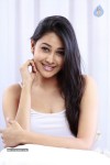 Panchi Bora Hot Stills - 30 of 58