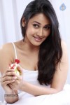 Panchi Bora Hot Stills - 57 of 58