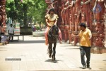Paravai Tamil Movie Spicy Stills - 1 of 100
