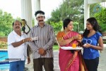 Paravai Tamil Movie Spicy Stills - 33 of 100