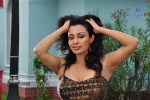 Paravai Tamil Movie Spicy Stills - 42 of 100