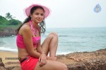 Paravai Tamil Movie Spicy Stills - 55 of 100